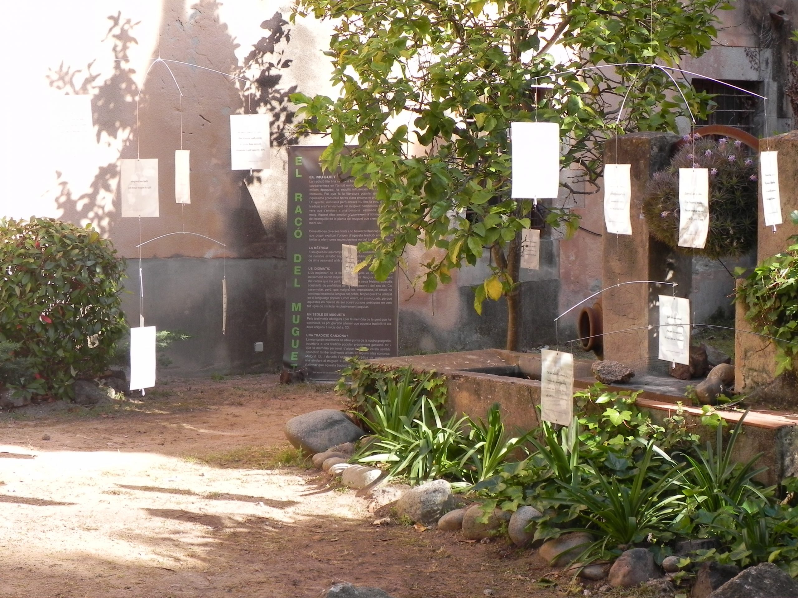 Racó del muguet a l’Hort del Rector (Monestir de Sant Feliu de Guíxols), 2011 Ajuntament de Sant Feliu de Guíxols (Autor: Pere Carreras)