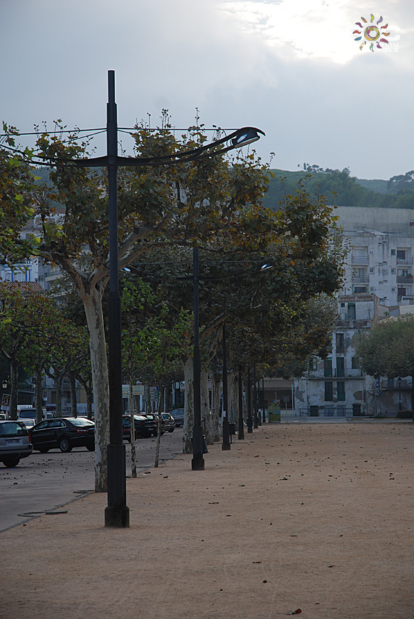 DSC 2593 - Sóc Sant Feliu de Guíxols