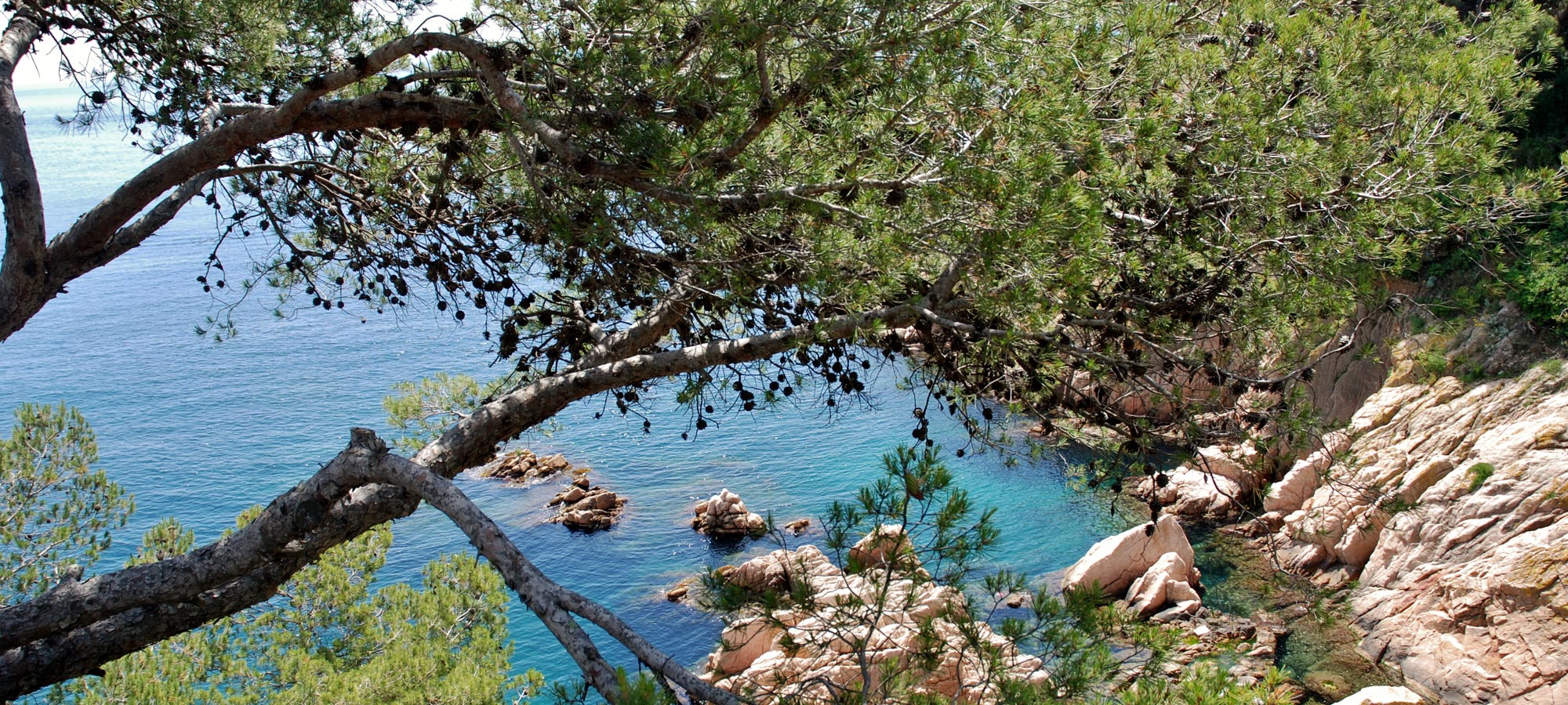 Sant Feliu de Guíxols - Mirador al Passeig marítim del President Josep Irla