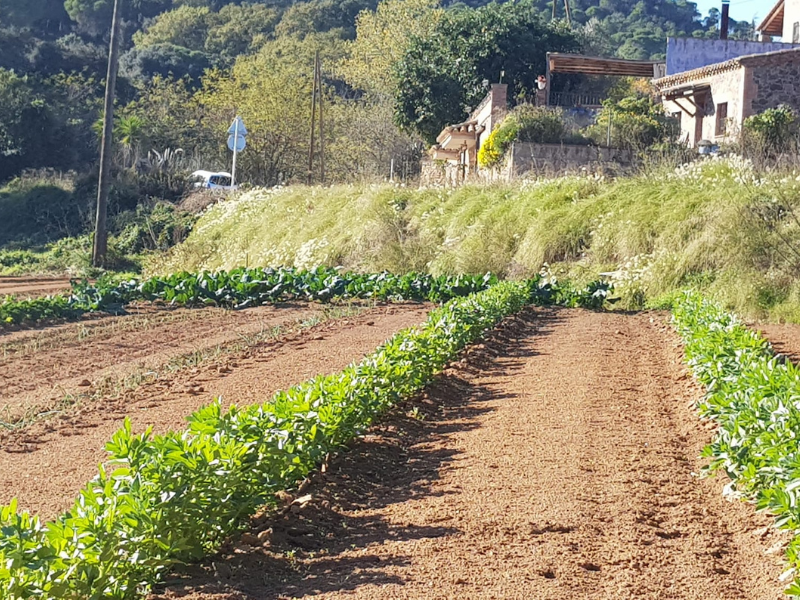 Paratges i Urbanitzacions. Sant Feliu de Guíxols. 2020.