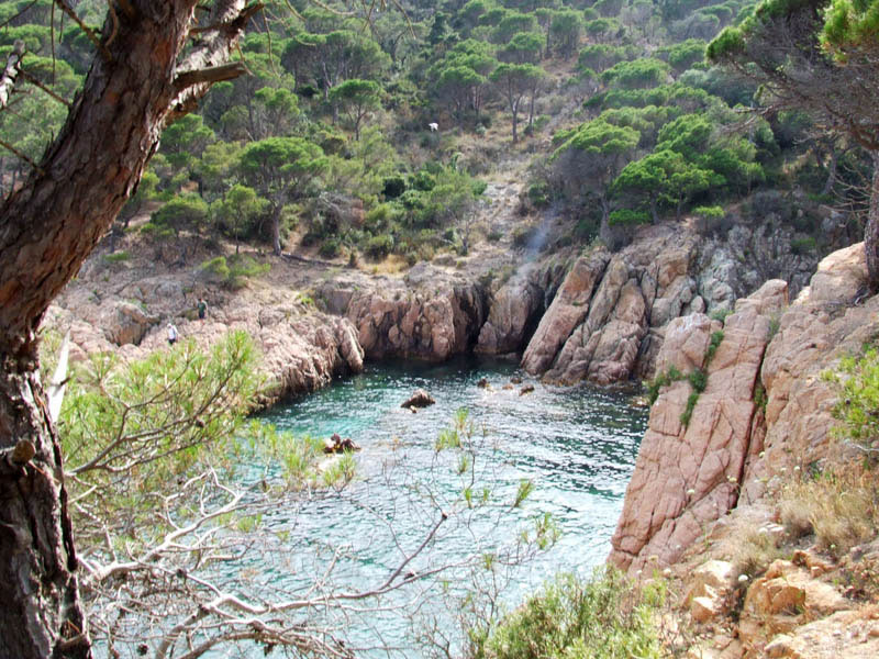 Cala de l'Ametller. Sant Feliu de Guíxols.