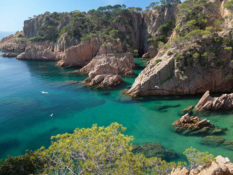 Cala del Peix. Sant Feliu de Guíxols.