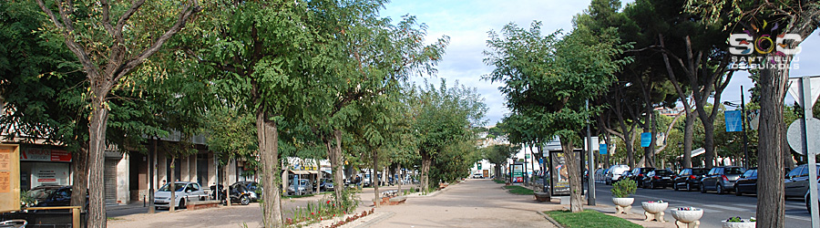 passeig dels - Sóc Sant Feliu de Guíxols