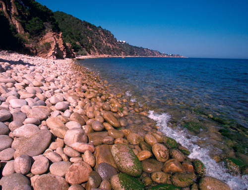 Platja de Can Dell